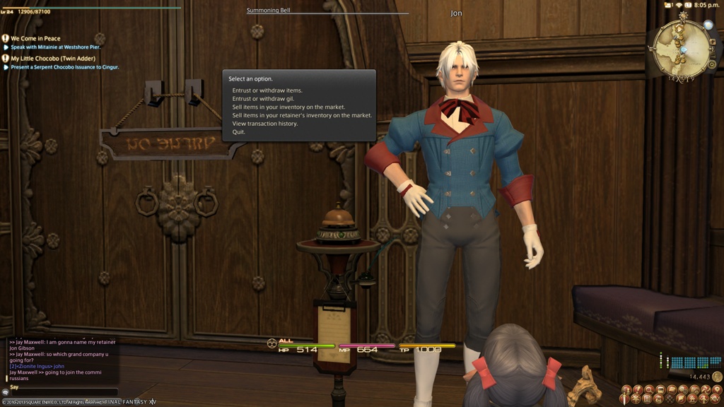 Retainers in Final Fantasy XIV and How They Work